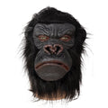 Masque intégral gorille - adulte