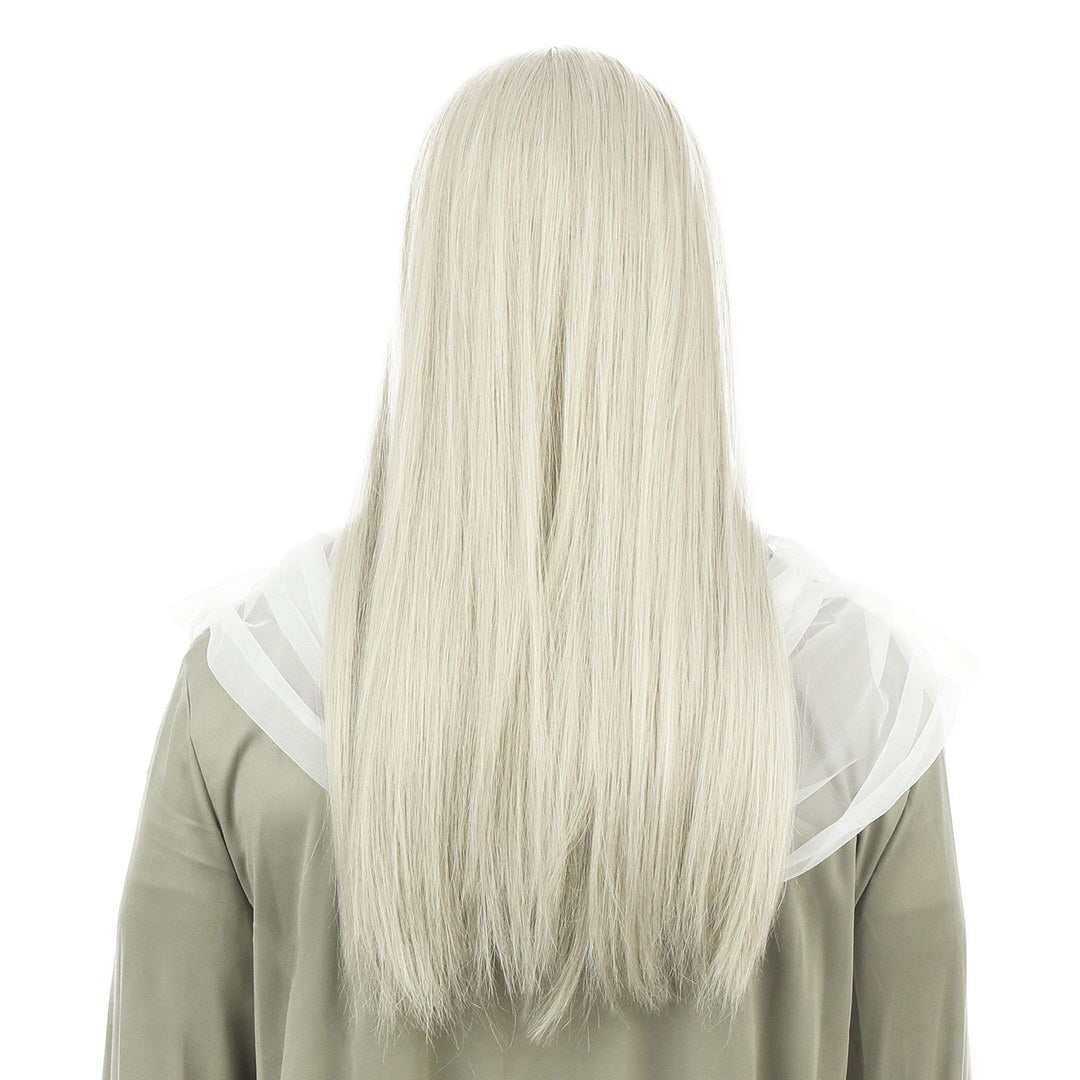 Perruque et barbe mage - gris