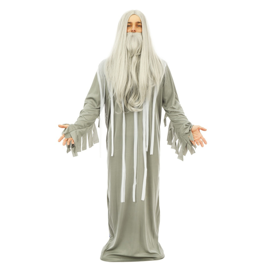 Perruque et barbe mage - gris