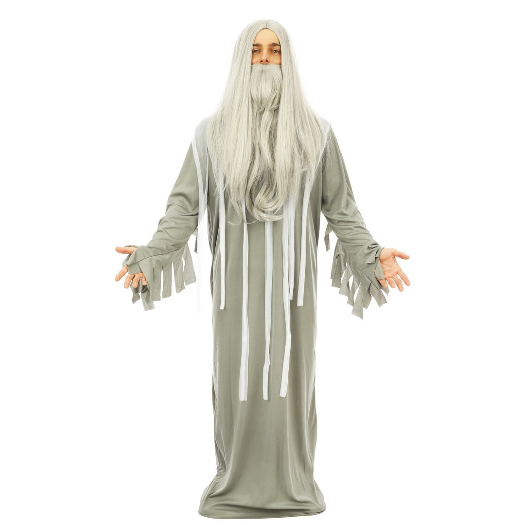 Perruque et barbe mage - gris