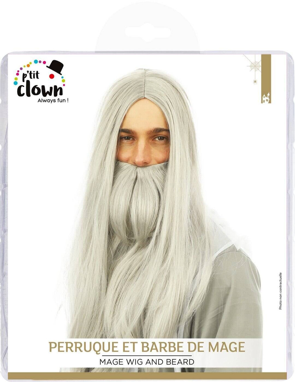 Perruque et barbe mage - gris
