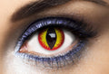 Lentilles fantaisie annuelles - diable