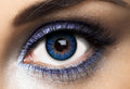 Jahreslinsen für besondere Anlässe – blaue Iris