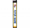 Echarpe Mister Enterrement de vie de garçon