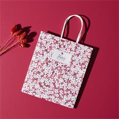 SAC CADEAU MERCI POUR CETTE ANNEE 18X21CM MAITRESSE