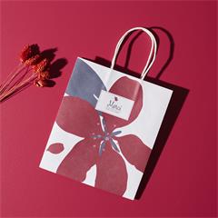 SAC CADEAU MERCI POUR CETTE ANNEE 18X21CM MAITRESSE