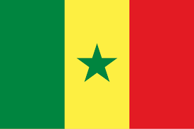 Drapeau Senegal 90x150cm